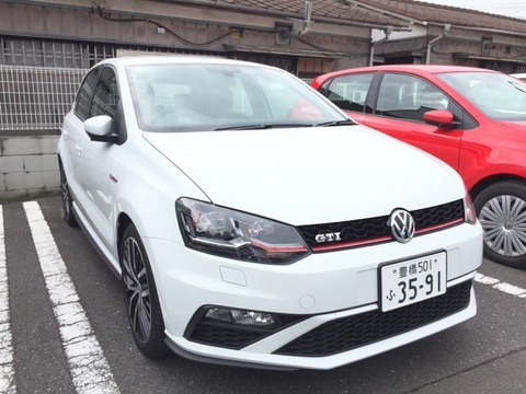 polo mt.jpgのサムネール画像